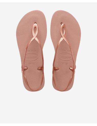 Luna crocus rose 4129697.3544. f80