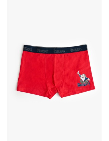 Admas - boxer natalizio gnomo 48603 rosso