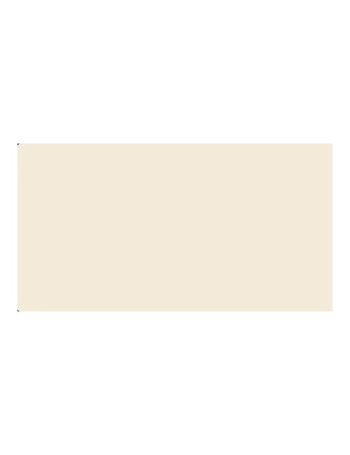 White wise - camicia con abbottonatura nascosta ww19901 champagne