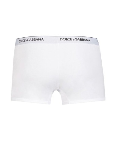 Dolce&gabbana - boxer 2pack strech cotton m9c07j fugiw bianco