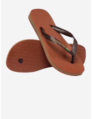 Havaianas - brasil logo 4110850_2815